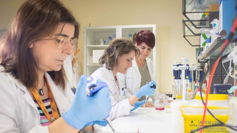 El PP propone otorgar la Medalla de Oro de Vigo al Instituto Galicia Sur
