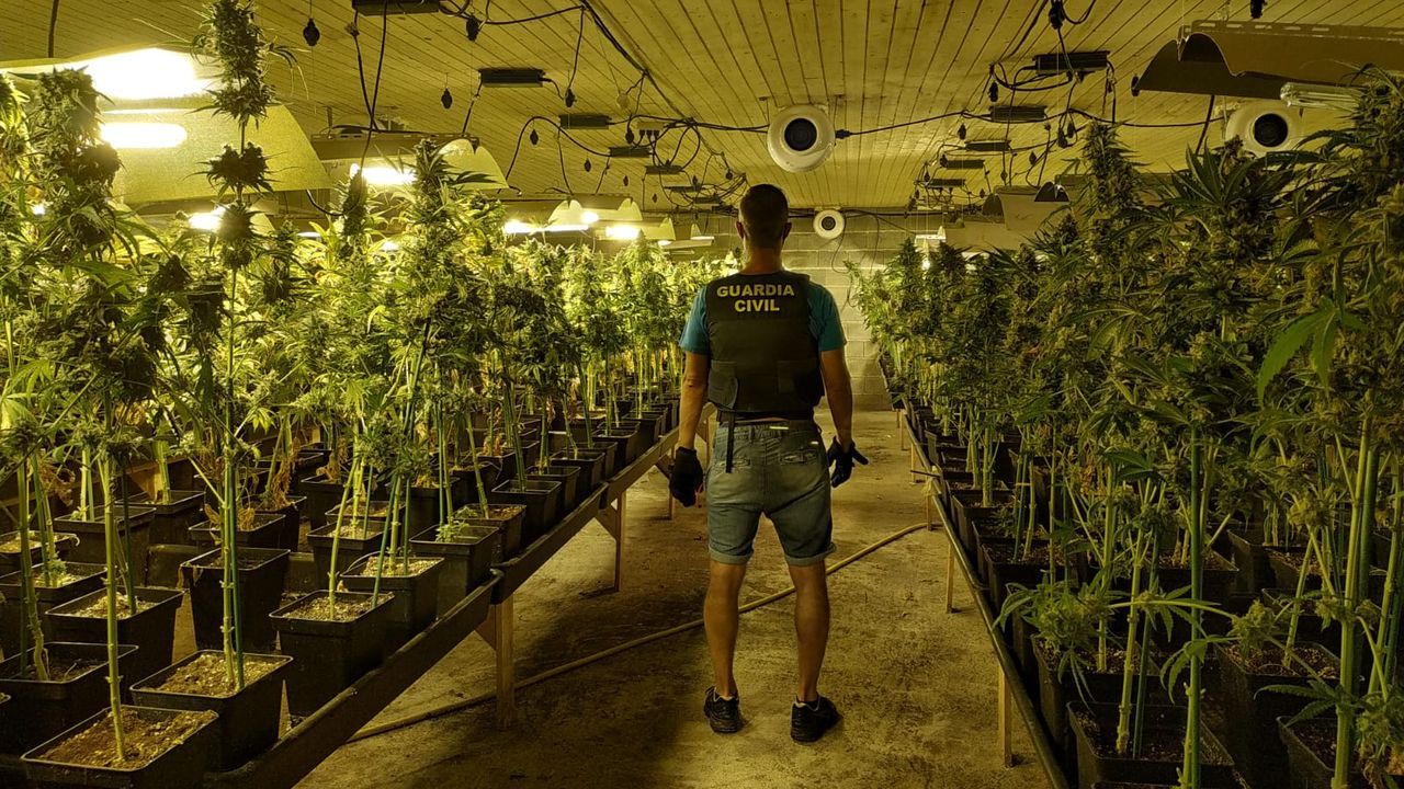 Imagen de archivo de la Guardia Civil tras descubrir una plantaci�n de marihuana