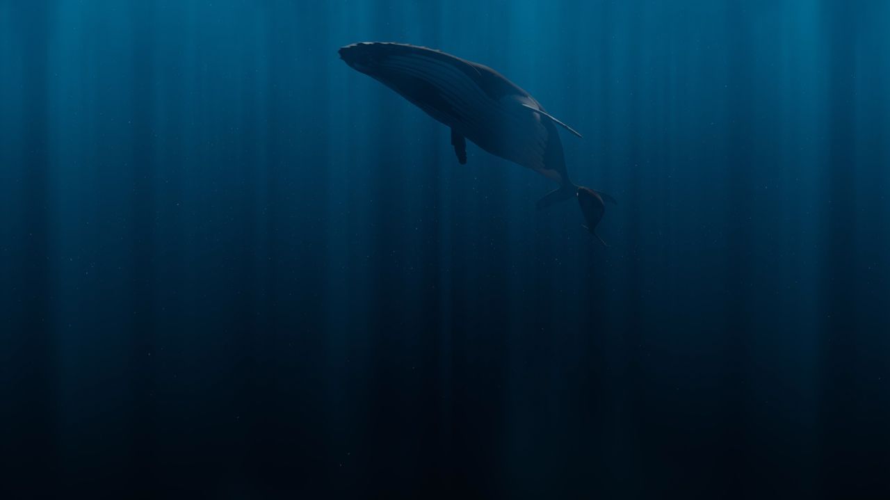 Galiverso somerxido: así se recrea unha visita virtual polo fondo