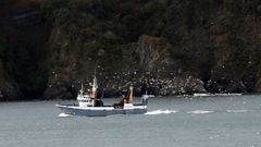 Gaviotas siguen a un pesquero gallegoentrando en puerto, en una imagen de archivo