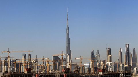 Decenas de gras conviven con el skyline de Dubai. 
