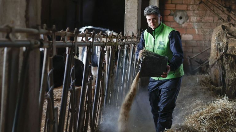 Servicios Ganaderos VG, la empresa que ofrece sus manos al campo gallego