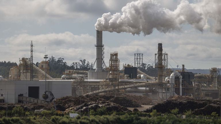 Finsa ganó casi 40 millones de euros menos en un 2024 marcado por la caída de precios y el aumento de la plantilla