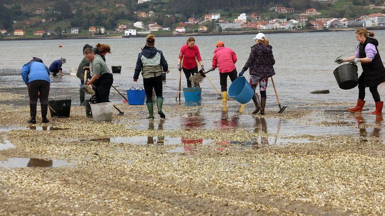 El marisqueo gallego sufre la peor crisis del siglo