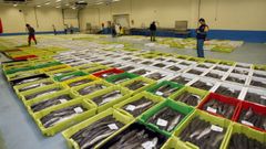 Las lonjas de Burela, en la imagen de archivo, y Celeiro distribuyeron en las ltimas tres semanas 3,25 millones de kilos de pescado fresco. De ellos, un milln de kilos de merluza y dos millones de kilos de xarda