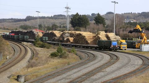 Carga de madera en la terminal de mercancías de Lugo