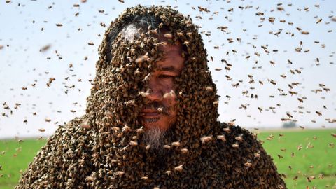 Un hombre posa con el cuerpo cubierto de abejas en Tabuk (Arabia Saud)