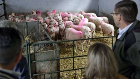 Instalaciones de la finca de Armariz, donde el Inorde desarrolla su programa de conservación de razas autóctonas.