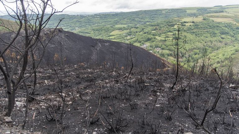 Huellas duraderas del fuego degradan el paisaje en los montes