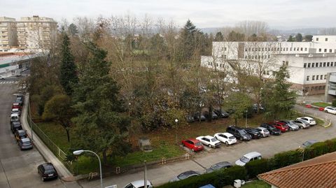 Los rboles del aparcamiento del hospital, vistos este martes desde uno de los edificios de la calle Corredoira