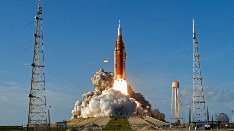 Si el progreso dependiera de burras como yo