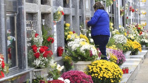 Lo último para Difuntos: encargar flores para que las lleven ese día al  cementerio