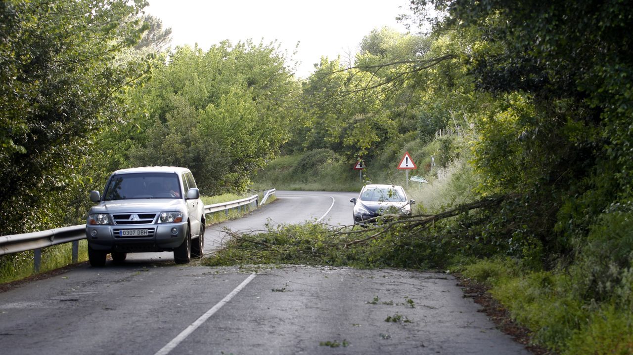 El vendaval provocó el lunes decenas de incidentes en Monforte