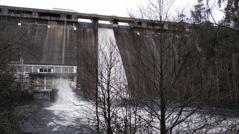 Investigan a un vecino de As Pontes de 76 años por la muerte de un perro en un embalse
