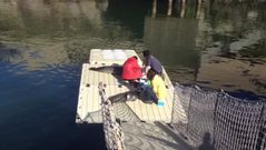 Dar de comer a las focas, una de las mayores atracciones