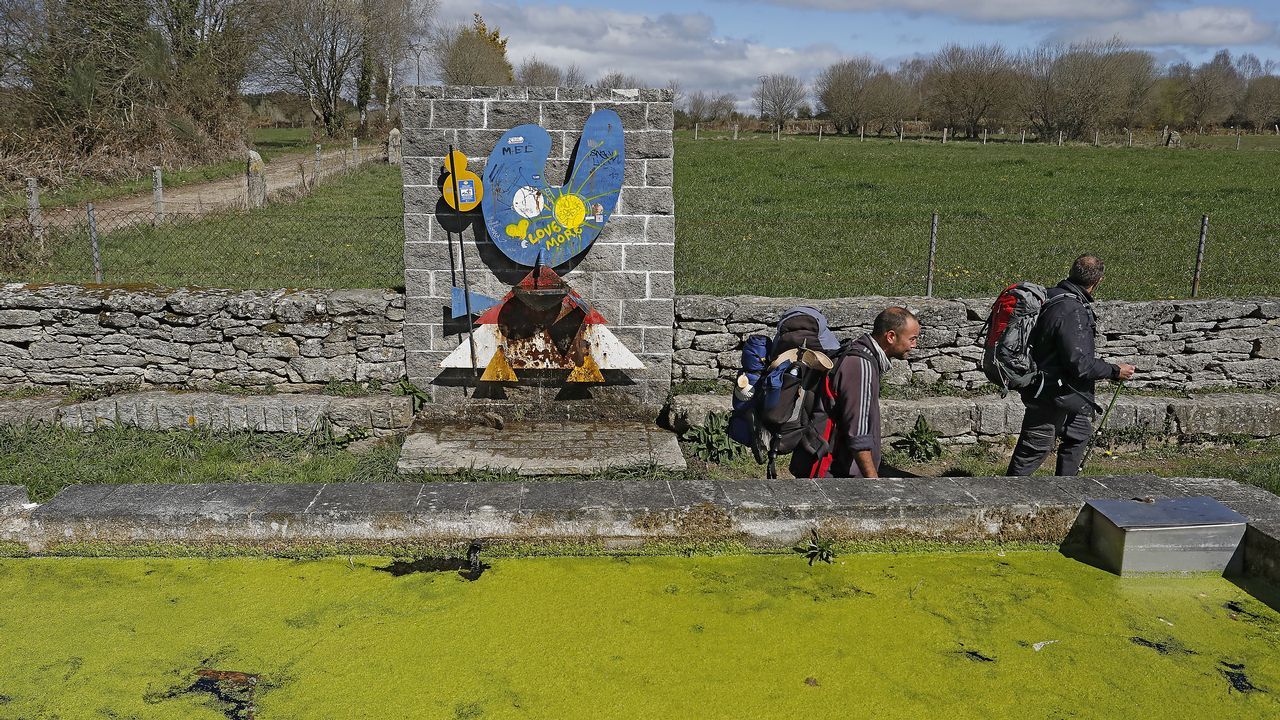 Chequeo a la etapa m�s popular del Camino Franc�s