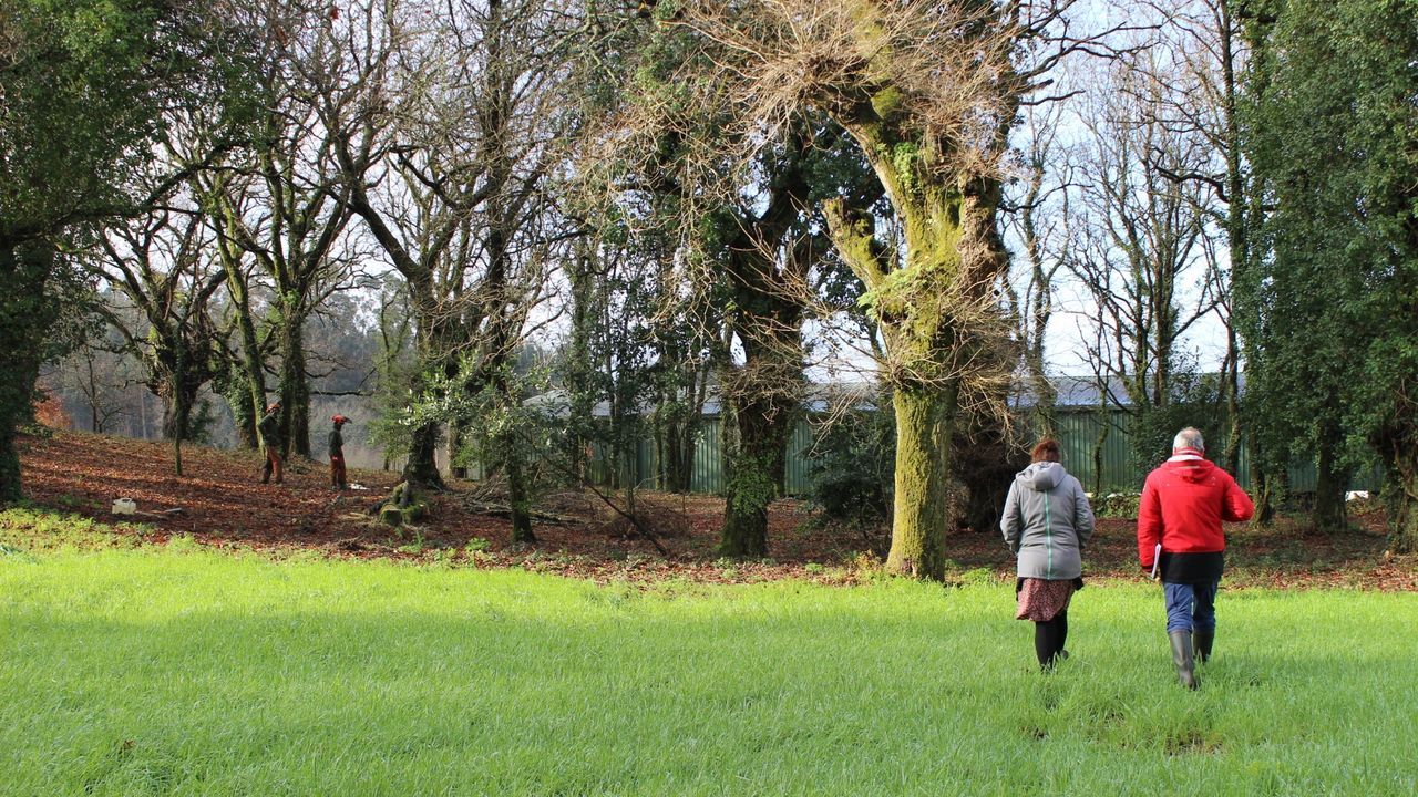 Joyas inmobiliarias con precios por encima del mercado.El nuevo cribado en Amio arranc� ayer con un 66,44 % de participaci�n y un positivo detectado entre los asistentes