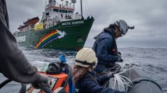 Activistas de Greenpeace el mes pasado, cuando desde el Artic Sunrise se apropiaron de parte de los aparejos de palangre de fondo calados legalmente por dos barcos gallegos en el Atlntico norte