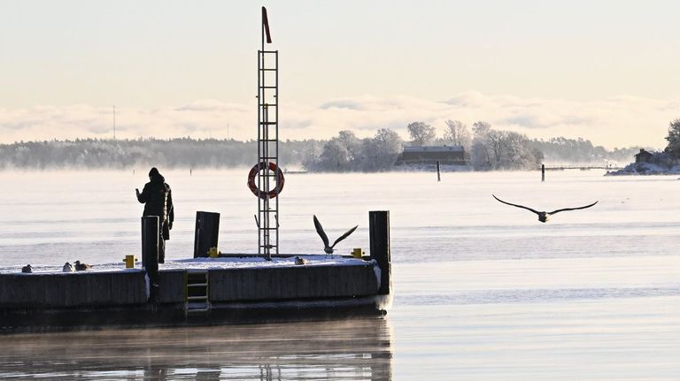 Finlandia superó a España como el país con más paro de la UE en noviembre, con el 10,6 %