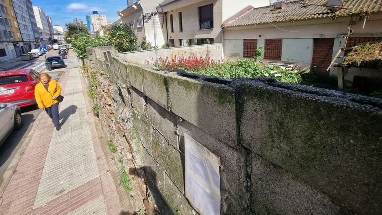 «Hubo días que no pude atender a los clientes porque todo estaba lleno de heces de los gatos»