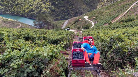 La vendimia en las vias en pendiente de la Ribeira Sacra es capaz de agotar a cualquiera, como bien se ve en la foto 