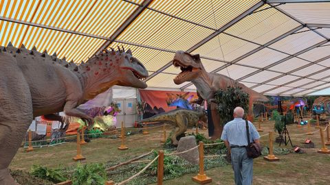 Un aspecto de la exposición Dinosauria Experience, instalada en la calle Sarria