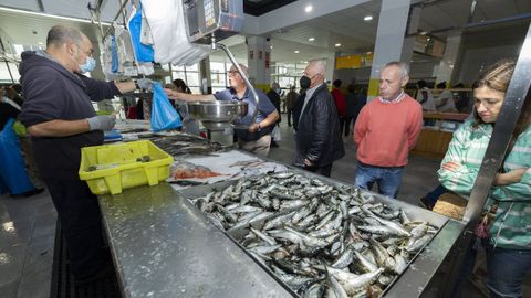  Subasta de sardina en en el mercado de Carballo 