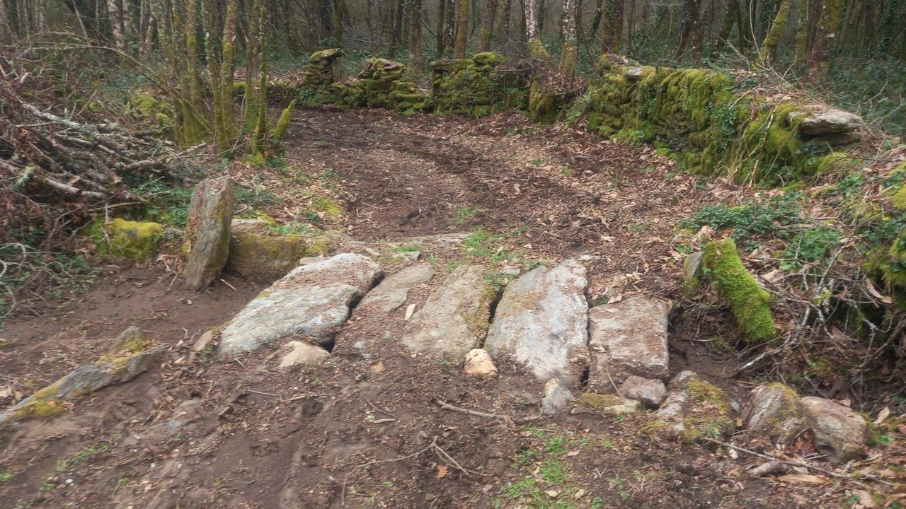 Vaipolor�o y el CRA de Vilaboa, una colaboraci�n por el medio ambiente.Filtro sucio de un grifo de una casa de la zona afectada