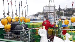 De capital espaol, francs o britnico, en los caladeros compartidos por la UE y el Reino Unido faenan pesqueros de la flota de Gran Sol