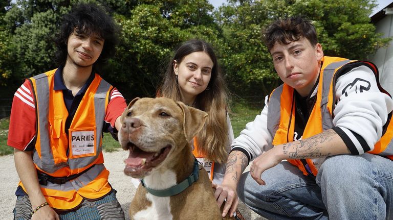 Cuando los perros potencialmente peligrosos cambian vidas (para bien)
