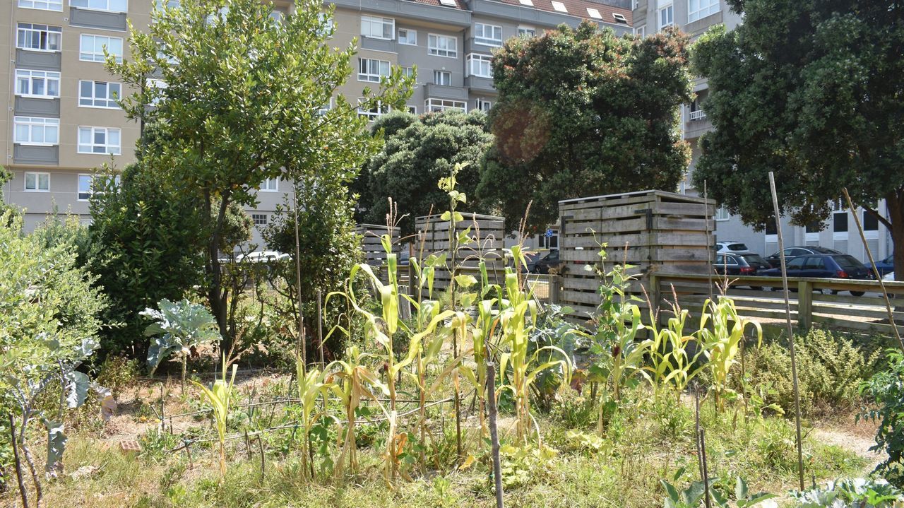 Bajo nivel del embalse de Guitiriz.Central hidroel�ctrica de Ponte Bibei, en Ourense, propiedad de Iberdrola