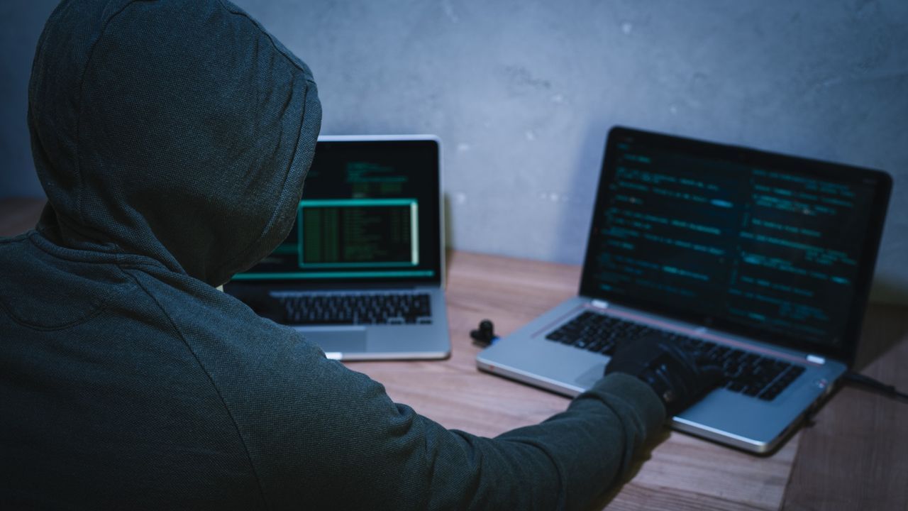 Los delincuentes inform�ticos act�an desde la Red para cometer sus ciberestafas