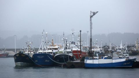 Foto de archivo de pesqueros amarrados en el puerto de Celeiro, en Viveiro