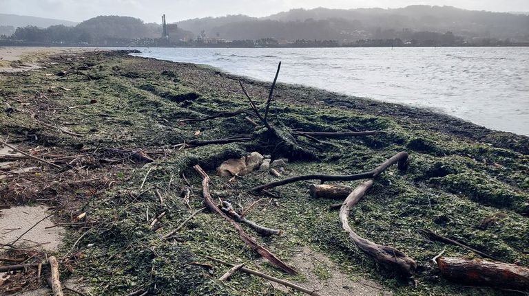 Creciente preocupación en el marisqueo de la ría de Pontevedra ante los efectos de los temporales: «Isto non ten boa pinta; hai moita auga doce»