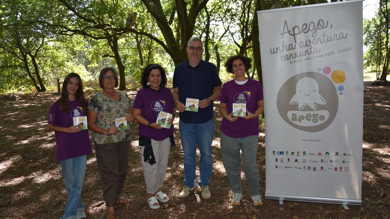 O alcalde de Ames e t�cnicas presentaron a programaci�n de Apego