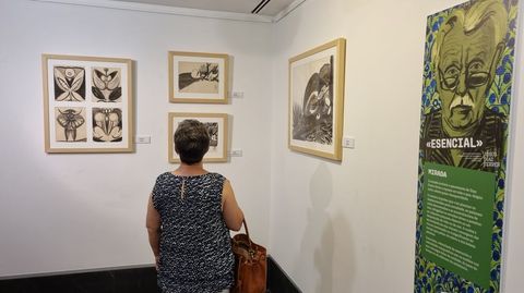 La exposición puede visitarse en la sala Abanca, en la praza do Príncipe de O Barco