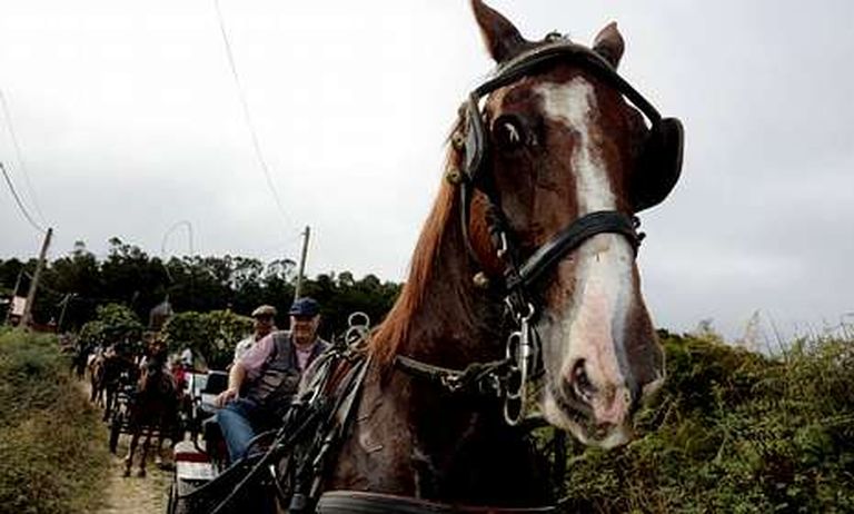 La comitiva partió de Bértoa y pasó por Razo antes de regresar al casco urbano.