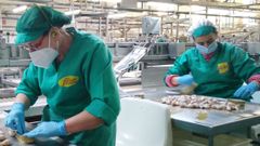 En las instalaciones de Albo en Galicia trabajan unas 130 personas.