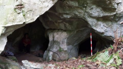 Entrada a la cueva de Las Mestas II (Asturias), donde hay pinturas rupestres prehistóricas