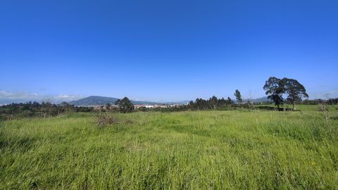 Terrenos en los que se construir� la futura ciudad deportiva del Real Oviedo