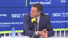 S�nchez anuncia que el Gobierno propondr� limitar la publicidad institucional en los medios