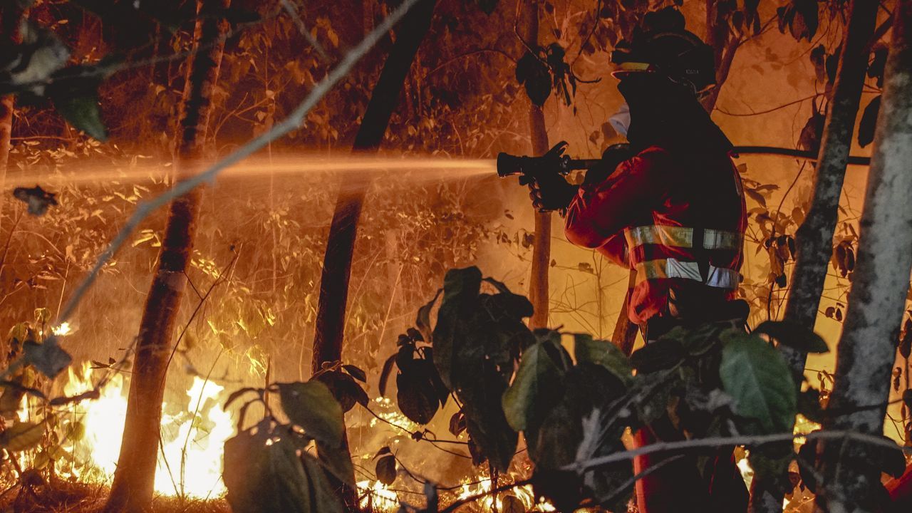 El rey concentrar� la ronda de consultas en dos d�as Feijoo y S�nchez ir�n el martes a Zarzuela.Efectivos de la UME trabajan en las labores de extinci�n de incendio forestal que afecta a Tenerife