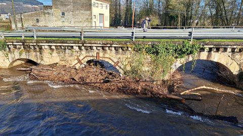 Maleza en el puente viejo de Sarria desprendida por el temporal y la crecida del río