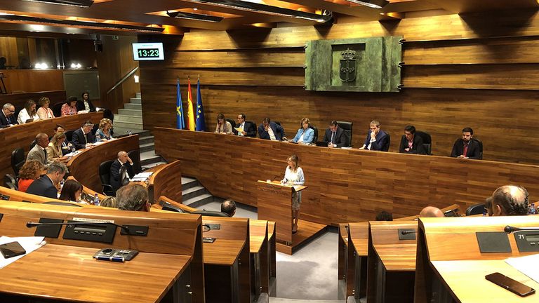 Ángela Vallina en la Junta General