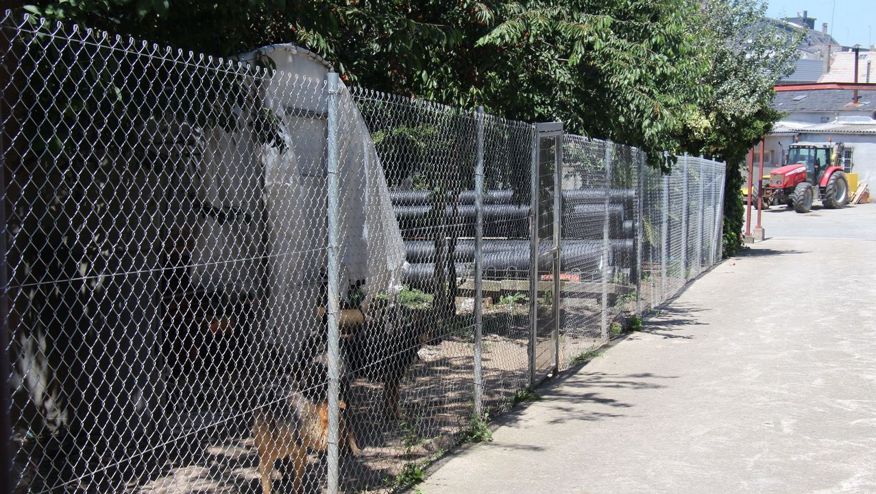 Im�genes de la antigua ruta del Cami�o das Fontes�