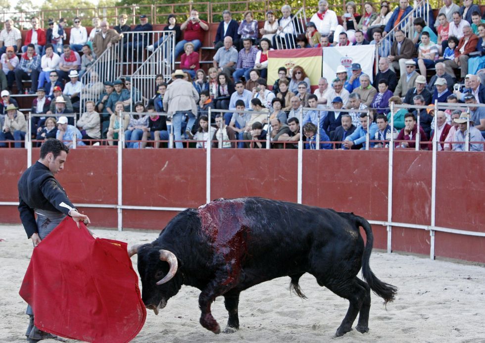 El pasado a�o la plaza de toros de Sarria se llen�. 