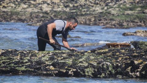 Imagen de archivo de un profesional recogiendo mejilla en la costa gallega