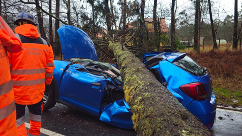 Carretera en Caldas donde cay&oacute; el pino sobre un coche