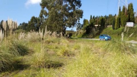 En el Alto del Palomo, en ambos mrgenes de la AS-238, se calcula que se encuentran varias fosas