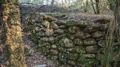 Muros de cantos rodados en la antigua explotación minera de A Borrén